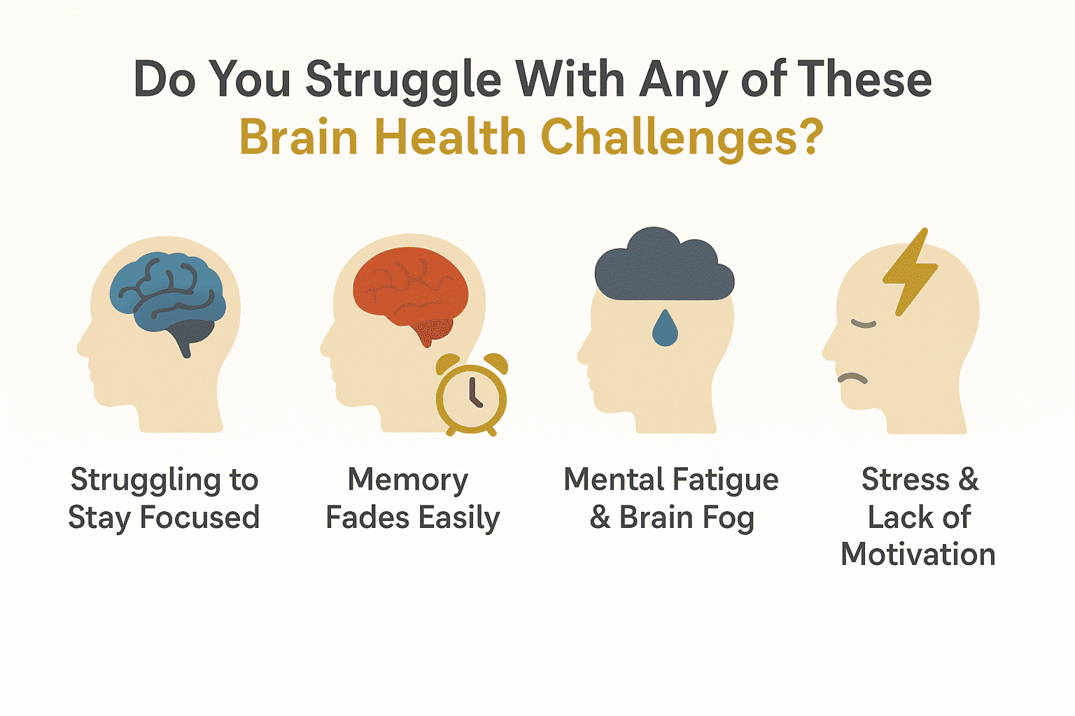 Brain Challenges